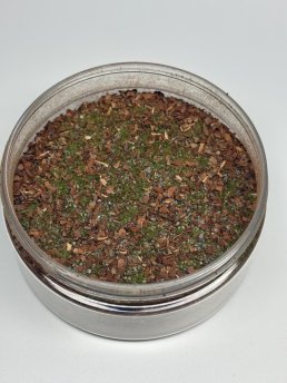 Forest Ground