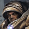 Terran