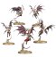 Battleforce: Daughters of Khaine – Scáthborn Coven