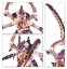 Battleforce: Tyranid Swarm