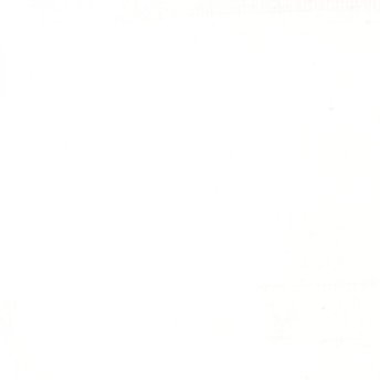 Titanium White