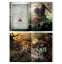 Path to Glory: Blighted Wilds