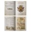 Warhammer: The Old World – Battle March: General's Companion (English)