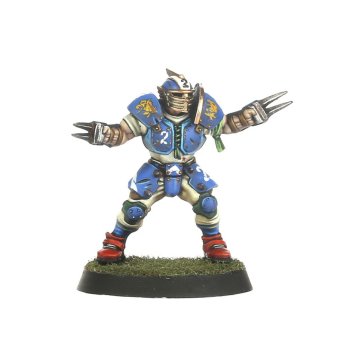 Human Team: Reikland Reavers