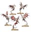 Battleforce: Daughters of Khaine – Scáthborn Coven