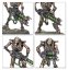 Battleforce: Necron Host