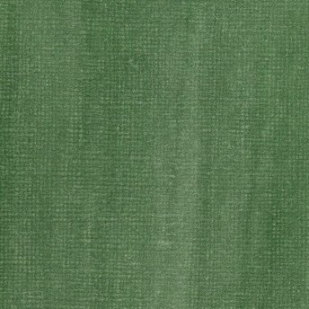 Muted Green