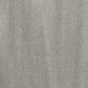 Neutral Gray 5