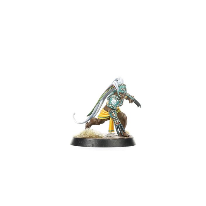 Amazon Blood Bowl Team: Kara Temple Harpies