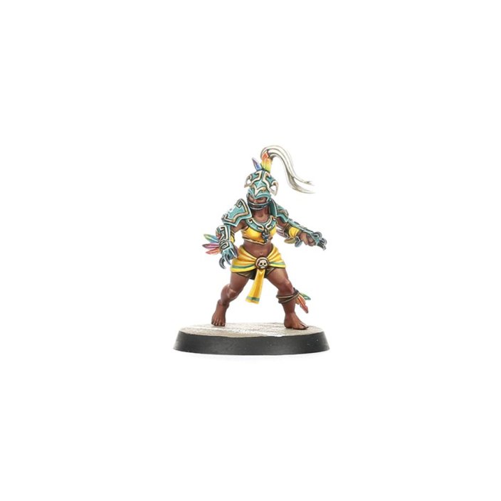 Amazon Blood Bowl Team: Kara Temple Harpies