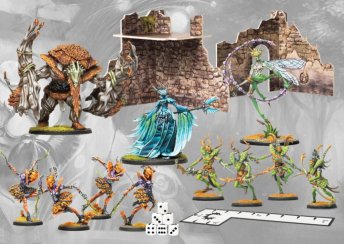 Weaver Courts Warband 2026