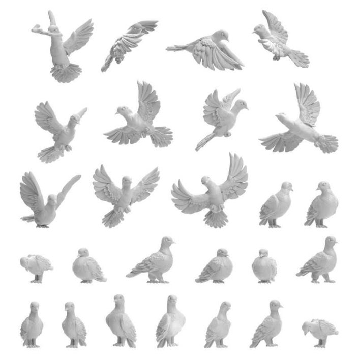 Pigeons 1:48-1:35