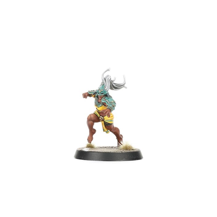 Amazon Blood Bowl Team: Kara Temple Harpies