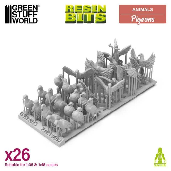 Pigeons 1:48-1:35