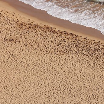 Beach Sand